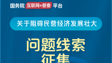 口爆中出日本国务院“互联网+督查”平台公开征集阻碍民营经济发展壮大问题线索